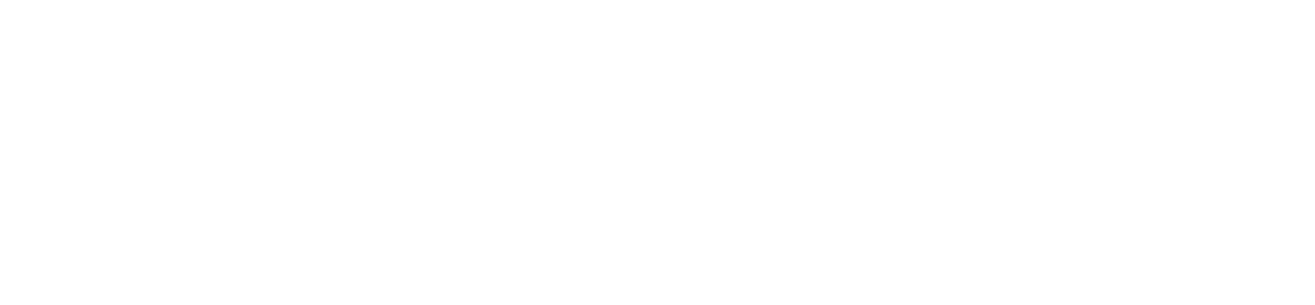 SIA Visualize